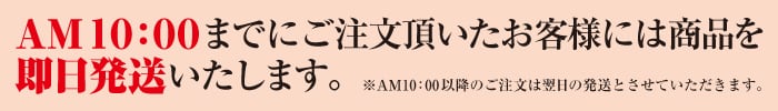 AM10:00までのご注文は即日配送いたします。