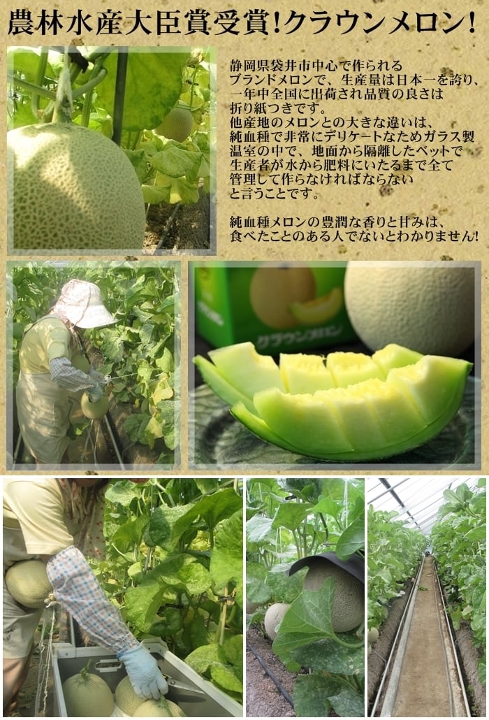 農林水産大臣賞受賞クラウンメロン
