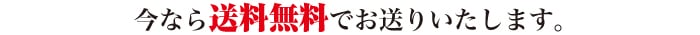 今なら送料無料でお送りいたします。